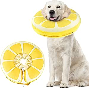 SuplutuX-Collar-isabelino-Inflable-Collar-isabelino-Perros